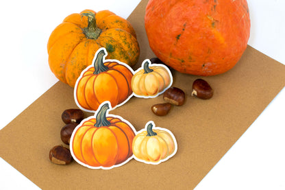 Twice the Charm: Orange & White Pumpkins!