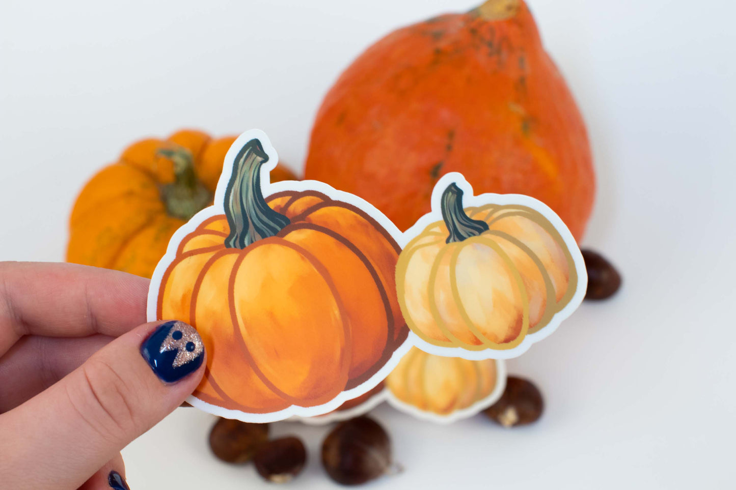 Twice the Charm: Orange & White Pumpkins!