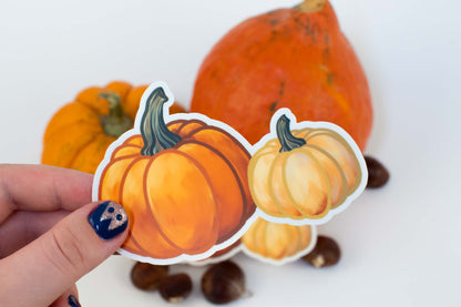 Twice the Charm: Orange & White Pumpkins!