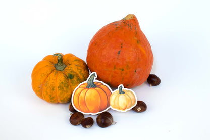 Twice the Charm: Orange & White Pumpkins!