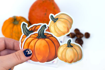 Twice the Charm: Orange & White Pumpkins!